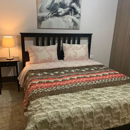 Renovated In The Center Of